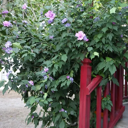 Hotel apartamentowy Ble
