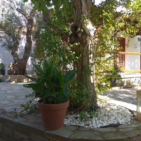 Ble Hotel apartamentowy Skopelos
