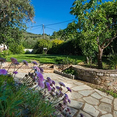 Ble Hotel apartamentowy Skopelos